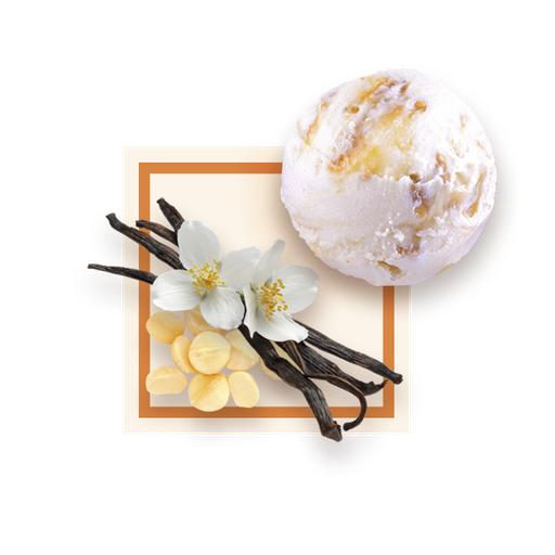 [50088] Glace vanille noix de macadamia bac 2,5L GLACE DES ALPES