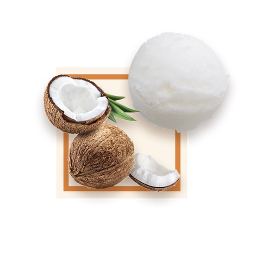 [50090] Sorbet noix de coco bac 2,5L GLACE DES ALPES