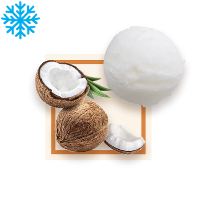 [50090] Sorbet noix de coco bac 2,5L GLACE DES ALPES