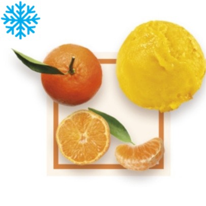 [50103] Sorbet clementine Corse bac 2,5L GLACE DES ALPES