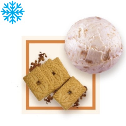 [50112] Glace speculoos bac 2,5L GLACE DES ALPES