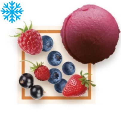[50120] Sorbet fruits rouges bac 2,5L GLACE DES ALPES