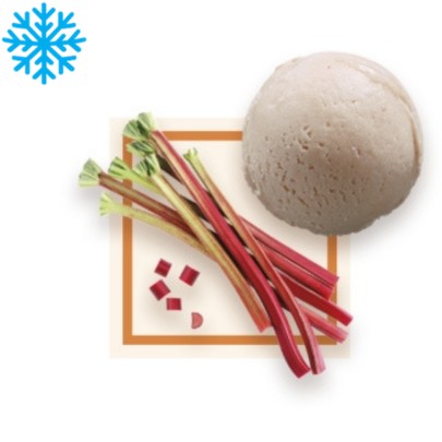 [50122] Sorbet artisanal rhubarbe bac 2,5L