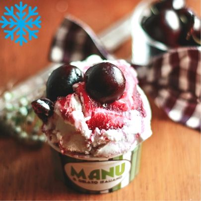 [50123] Glace amarena bac 2,5L MANU GELATO