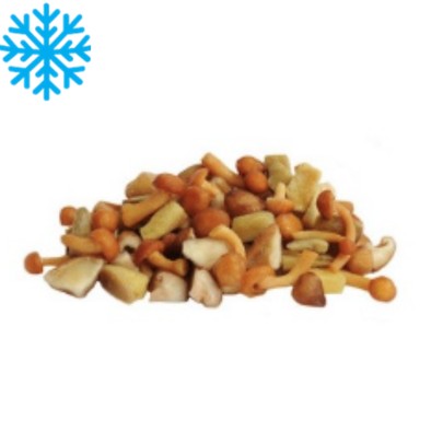 [50219] Melange de champignons sac 1Kg x5