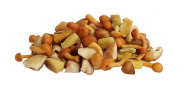 [50219] Melange de champignons sac 1Kg x5