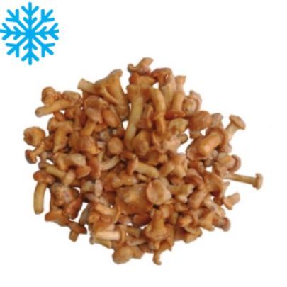 [50231] Chanterelles / Girolles sac 1Kg x5