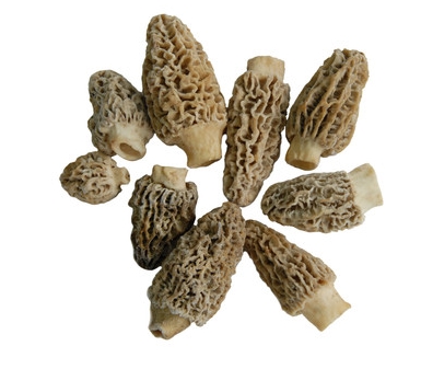 [50205] Morilles entieres Europe sac 1Kg x2 